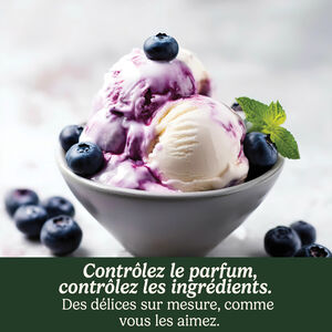 Cool Scoops Sorbetière