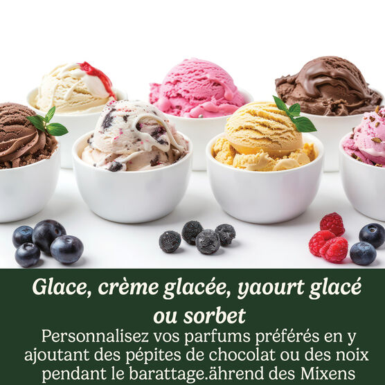 Cool Scoops Sorbetière
