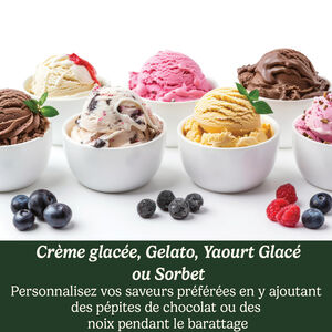 Solo Scoops Ice Cream Maker