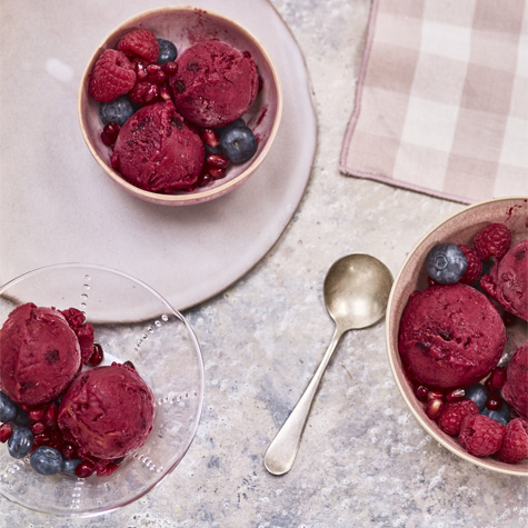 Sorbet Aux Fruits Des Bois